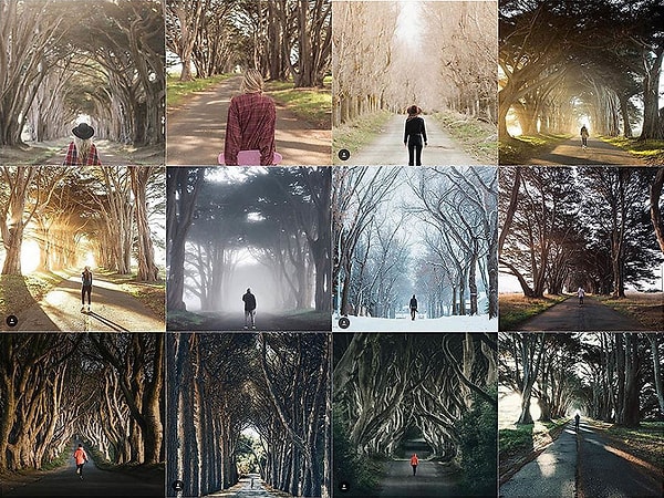 21. Человек в начале аллеи