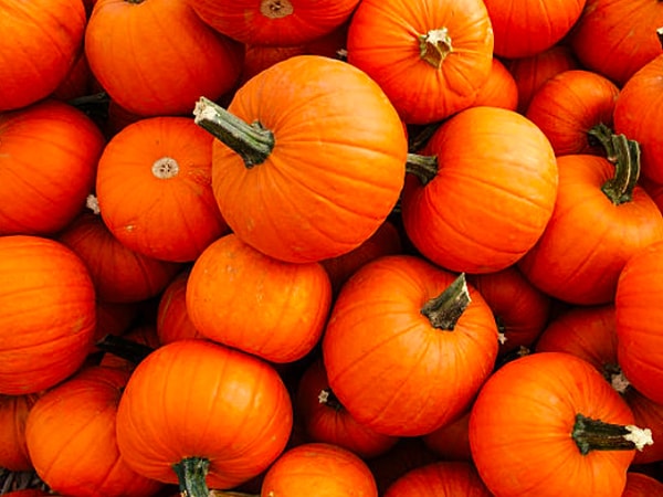 5. Тыква - это...