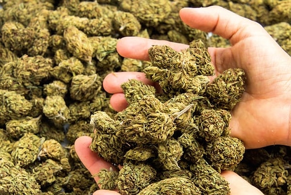 4. Сатис и Сабариш Раджи