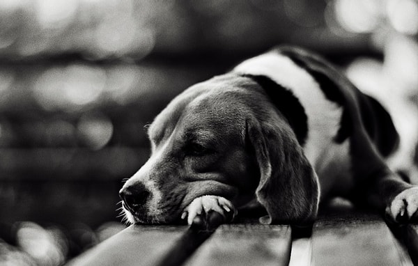 У вас, вероятно, средний уровень депрессии!