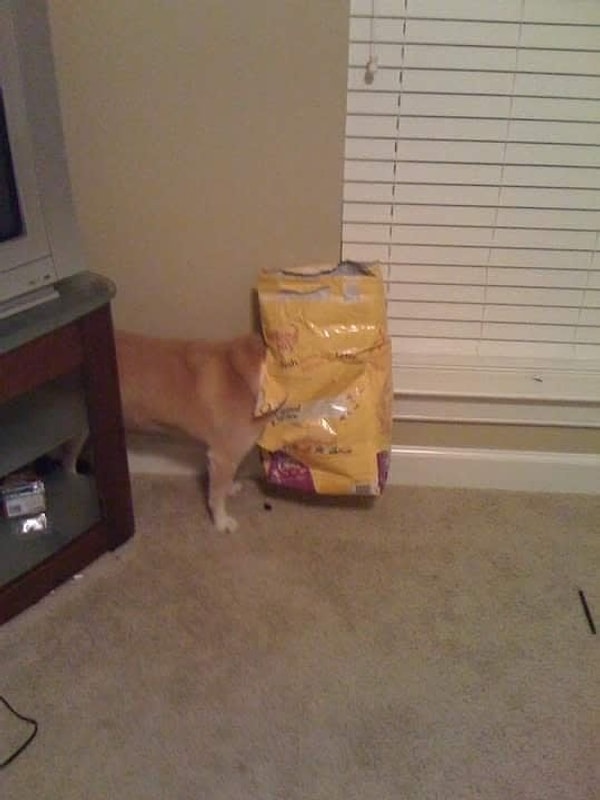 19. Идея казалась хорошей, но имела свои недостатки.