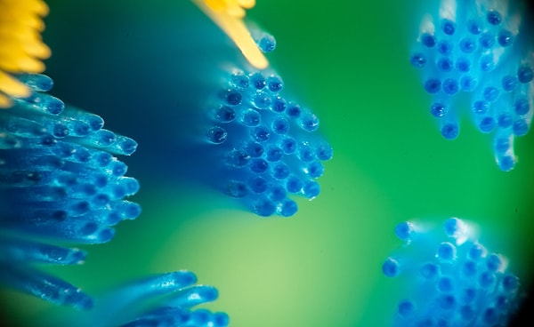 3. На что это похоже?