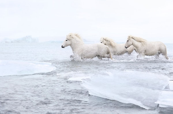 3. Fotoğrafçı "neredeyse imkansız" konumlarda fotoğraf çekmeyi sevdiğini söylüyor.