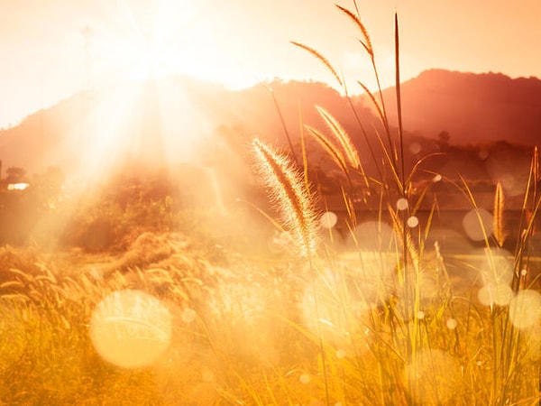 3. С чем у вас ассоциируется чувство блаженства?