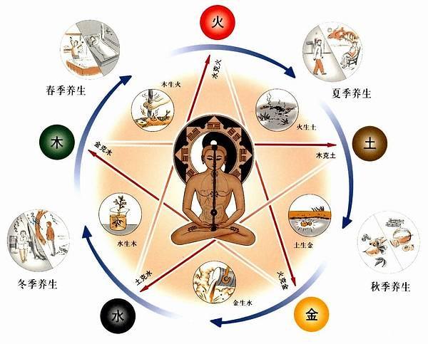 Meridyen sistemi, geleneksel Çin tıbbının temel bir konseptidir.