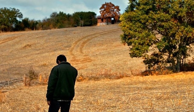 14. Ahlat Ağacı