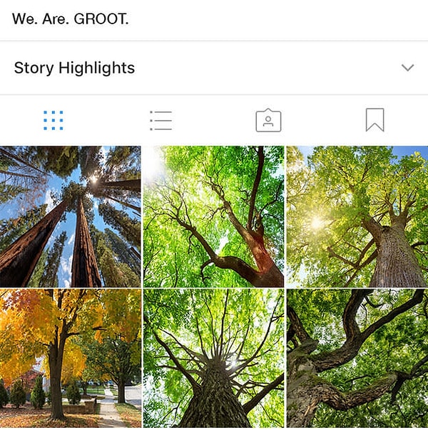 6. Ваш вердикт?