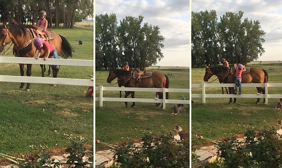 Siz Ne Güzelsiniz Öyle! Ata Binebilmek İçin Aşırı Yaratıcı Bir Yol Bulan Ufak Kız