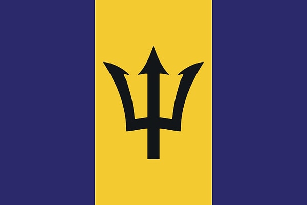 3. Чей это флаг?