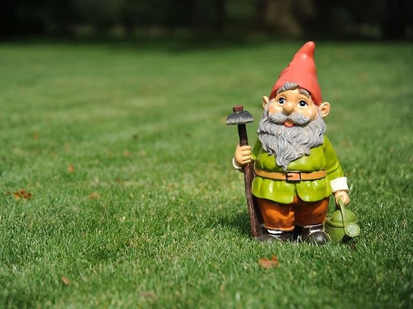 2. Выберите гнома: