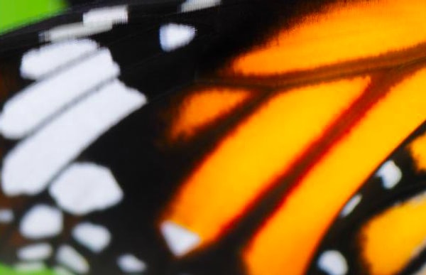 3. Что скажете?