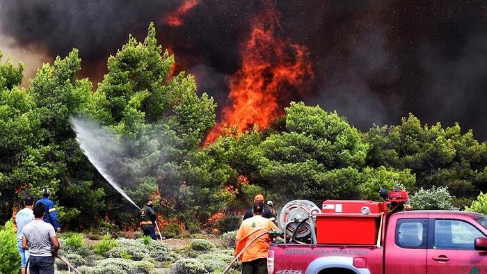 Türkiye'ye Uzak Gelişme: Yunan Bakan Orman Yangınları Nedeniyle İstifa Etti