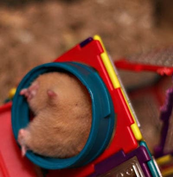 21. Прямо бразильская попка )))