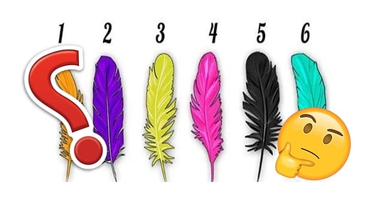 Тест на акцентуацию характера: выберите перо и узнайте свои доминирующие черты