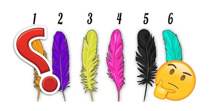 Тест на акцентуацию характера: выберите перо и узнайте свои доминирующие черты