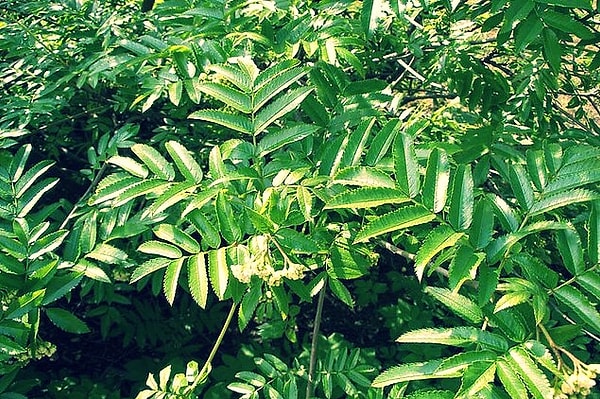 11. Угадаете с первого раза?