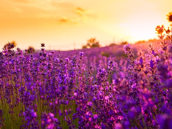 3. Вы знаете, что делать...