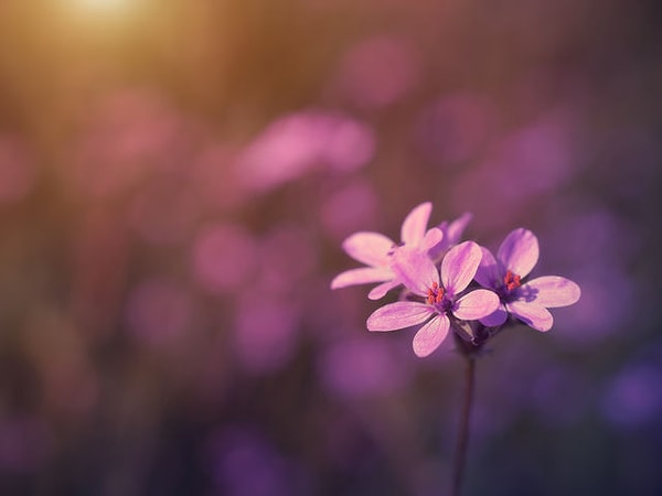 8. Выбирайте скорее: