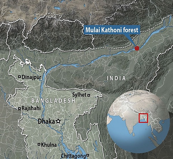 3. За последние 70 лет Маджули сократился более чем наполовину, и есть опасения, что он будет затоплен в следующие 20 лет.