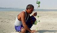 40 лет назад 16-летний юноша начал высаживать на удалённом острове каждый день дерево, и теперь это место невозможно узнать