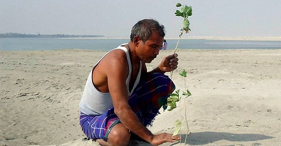 40 лет назад 16-летний юноша начал высаживать на удалённом острове каждый день дерево, и теперь это место невозможно узнать