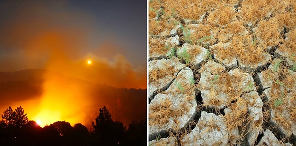14. Ежегодно по всему миру глобальное потепление является причиной 150 000-400 000 смертей.