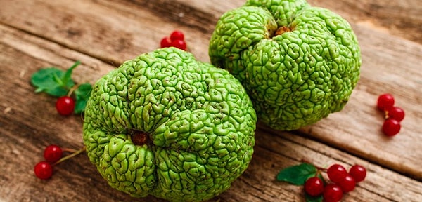 10. Какие эмоции вызывает у вас эта фотография?