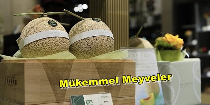 Bu Kavunların Tanesi 200 Dolar! Japonya'nın Oluşturduğu Doğadaki En Üstün Meyve Kültürü