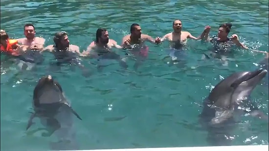 Horon Tepen İnsanlara Eşlik Eden Yunuslar