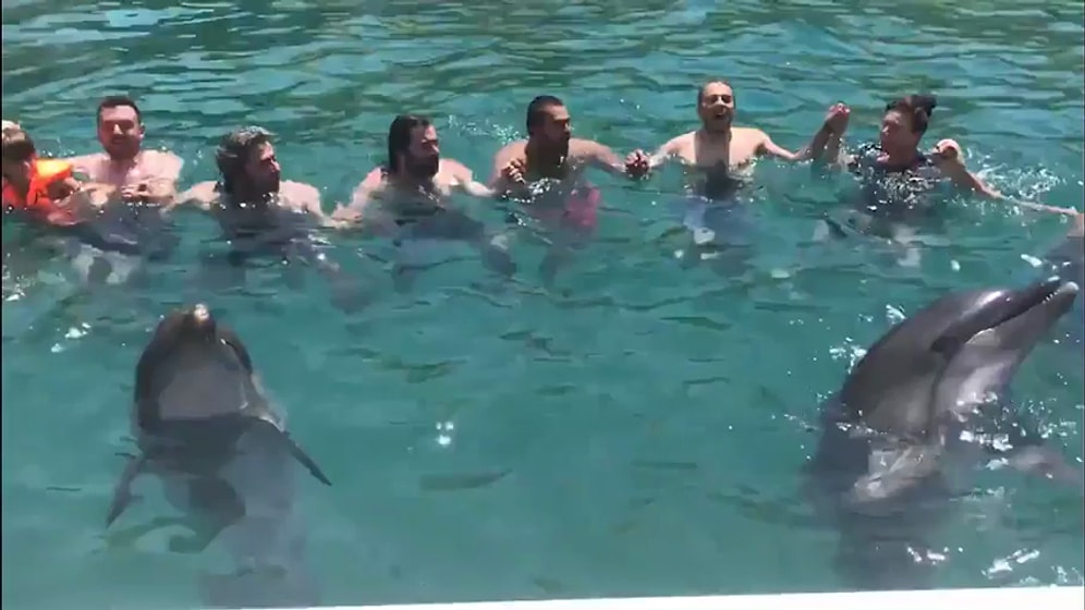 Horon Tepen İnsanlara Eşlik Eden Yunuslar