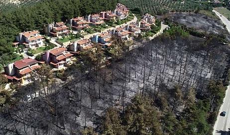 Soruşturma Başlatıldı: Mudanya'daki 'Düzenli Yangının' Fotoğrafı ve Sabotaj İddiaları