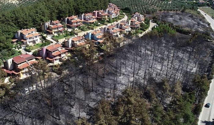 Soruşturma Başlatıldı: Mudanya'daki 'Düzenli Yangının' Fotoğrafı ve Sabotaj İddiaları