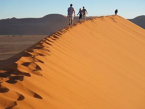 11. Namib Çölü'nde bulunan bazı kum tepecikleri ise en yüksek kum tepecikleri olarak biliniyor. 300 metreye kadar ulaşıyorlar.