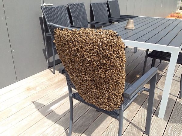 12. Присаживайтесь.