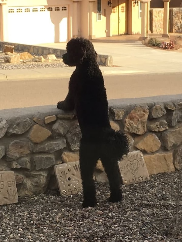 3. Повесить сумочку на плечо - и будет вылитая девушка!