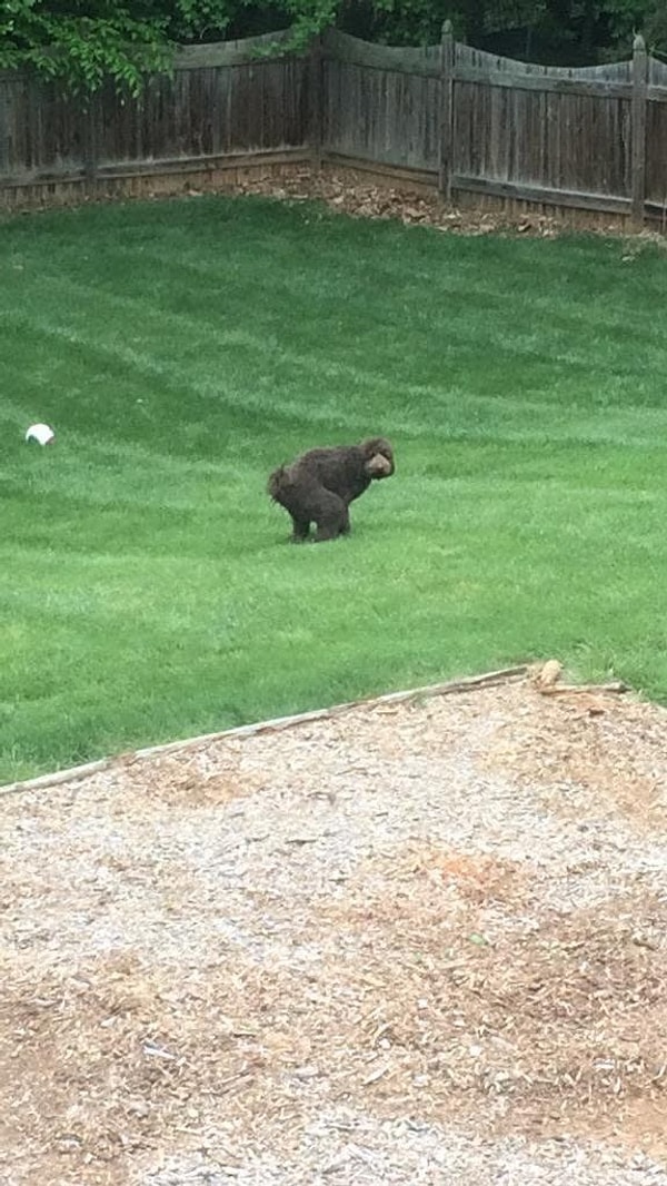 12. Что он делает?!