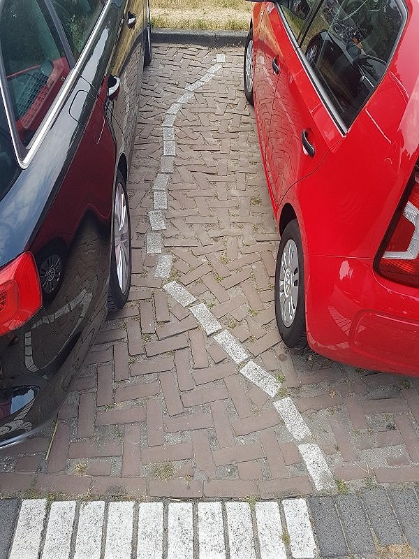 4. Что это? Тропа для лилипутов?