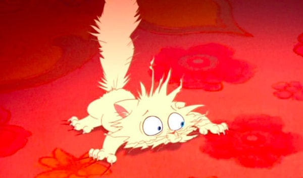 8. Откуда этот котенок?