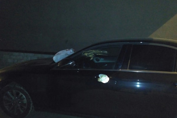 13. Проучили нарушителя грязным подгузником