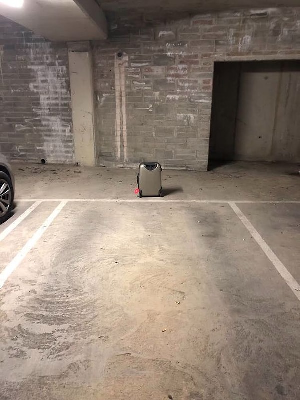 11. "Кажется, у моих соседей отпуск  будет чуть более непредсказуемым"