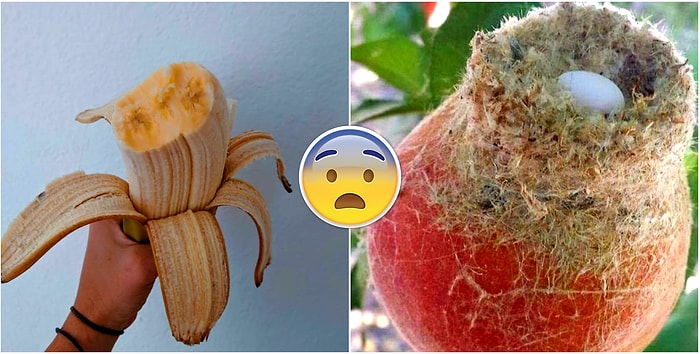 Фотодоказательства того, что природа всегда знает, как нас удивить