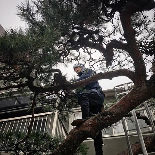 Но главная цель Тацумасы - познакомить мир с искусством садоводства вместе с позитивными аспектами японской культуры.