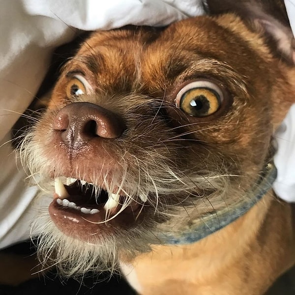 17. Когда он говорит тебе, что ты красива даже без макияжа.