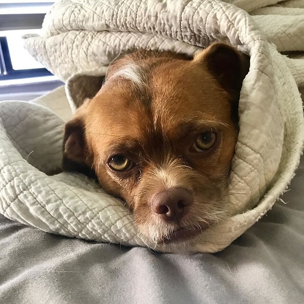 28. Сегодня я интроверт.