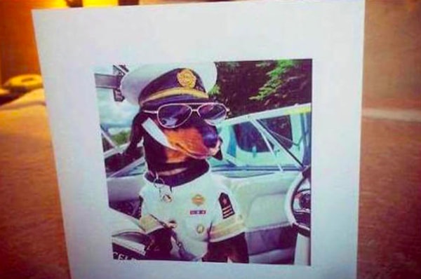 9. А этот гость затребовал фото собаки, одетой в форму капитана судна.