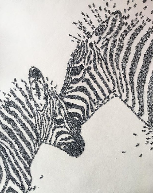 6. Естественно, с первой попытки "поймать" нужный кадр не получается.