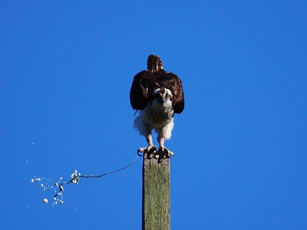 15. Когда не хватает места, приходится идти на крайние меры!