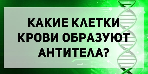 6. Биология: