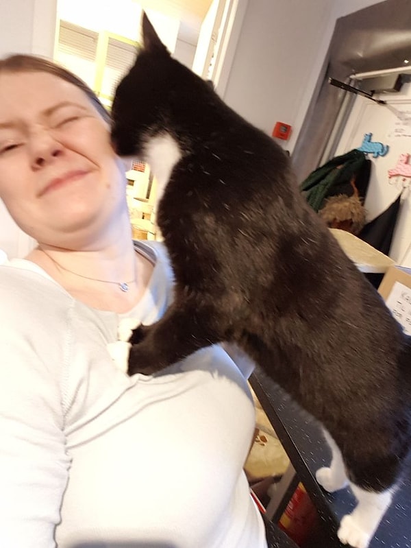 2. "И иногда это переходит все границы..."