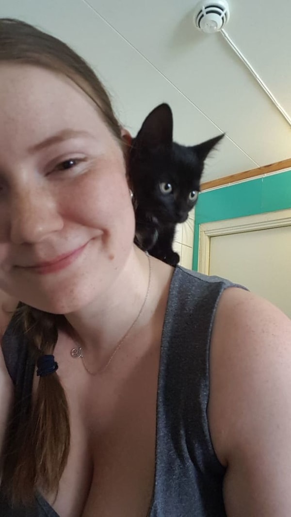 12. "Порой коллеги садятся на шею..."